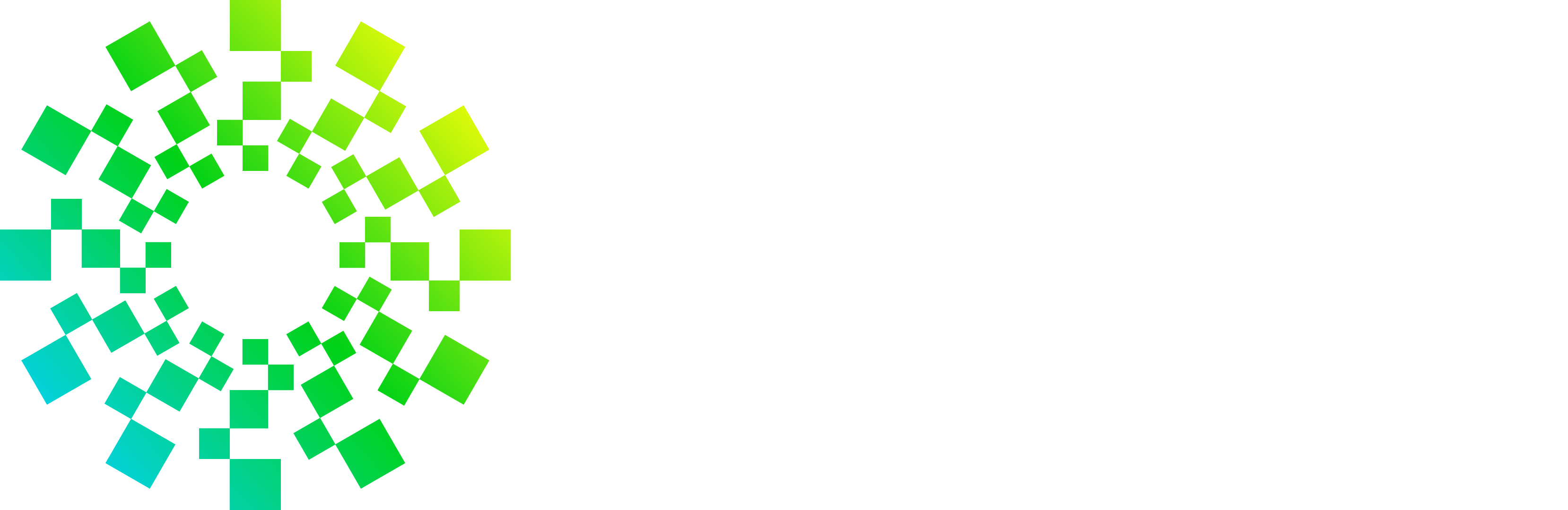 Site Logo White